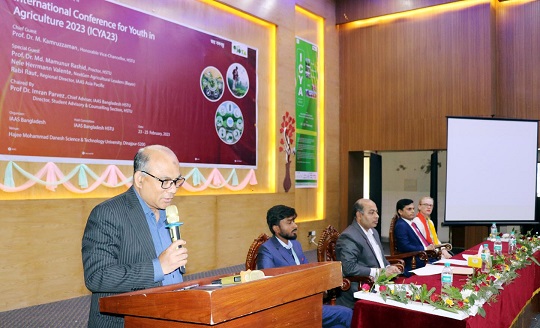 image-here